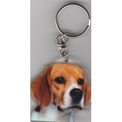 BEAGLE DOG / Key Fobs