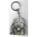 CAUCASIAN SHEPHERD DOG   / Key Fobs