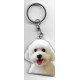 BICHON DOG / Key Fobs