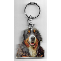 BERNESE MOUNTAIN  DOG / Key Fobs