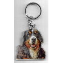 BERNESE MOUNTAIN  DOG / Key Fobs