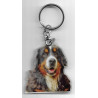 BERNESE MOUNTAIN  DOG / Key Fobs