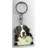 BERNESE MOUNTAIN  DOG / Key Fobs