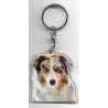 BORDER COLLIE DOG / Key Fobs