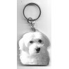 MALTESE DOG / Key Fobs