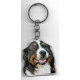 BERNESE MOUNTAIN  DOG / Key Fobs