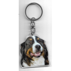 BERNESE MOUNTAIN  DOG / Key Fobs