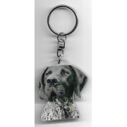 GERMAN WIREHAIRED POINTER Dog / Key Fobs