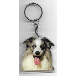 BORDER COLLIE DOG / Key Fobs