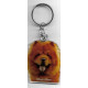 CHOW CHOW DOG / Key Fobs