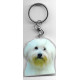 Coton de Tuléar CHIEN porte clés