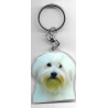 Coton de Tuléar CHIEN porte clés