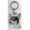 CHIHUAHUA DOG / Key Fobs