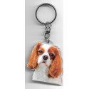 CAVALIER KING CHARLES DOG porte clés