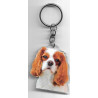 CAVALIER KING CHARLES DOG porte clés