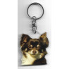 CHIHUAHUA DOG / Key Fobs