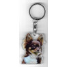 CHIHUAHUA DOG / Key Fobs