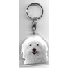 Coton de Tuléar CHIEN porte clés