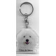 Cotton de Tuléar DOG / Key Fobs