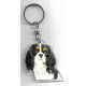 CAVALIER KING CHARLES DOG / Key Fobs