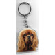 CAVALIER KING CHARLES DOG / Key Fobs