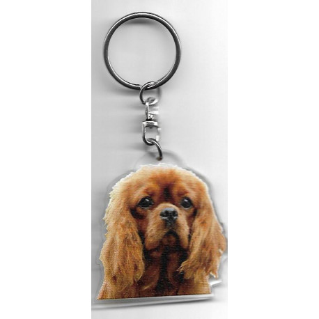 CAVALIER KING CHARLES DOG porte clés