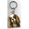 CAVALIER KING CHARLES DOG porte clés