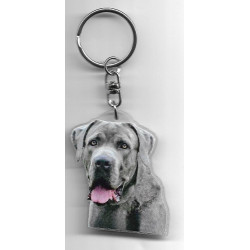 CAIRN TERRIER DOG / Key Fobs