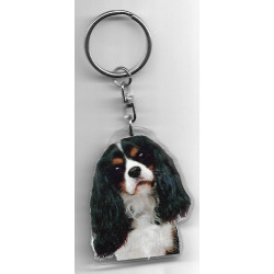 CAVALIER KING CHARLES DOG / Key Fobs