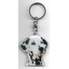 DALMATIEN CHIEN porte clés