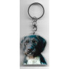 DRATHAAR DOG / Key Fobs