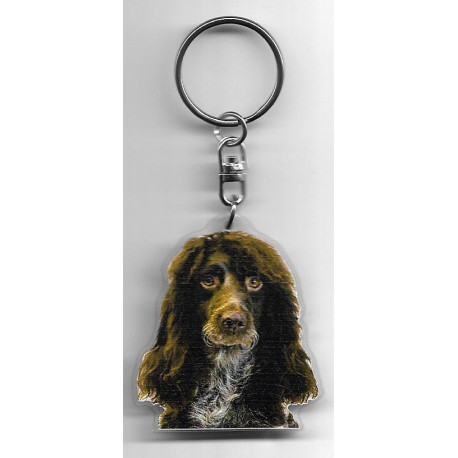 SPANIEL of Pont Audemer Dog / Key Fobs