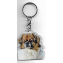 TIBETAN SPANIEL  Dog / Key Fobs