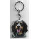 TIBETAN SPANIEL  Dog / Key Fobs