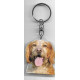 BRITTANY SPANIEL  Dog / Key Fobs