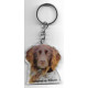 SPANIEL  of  Munster Dog / Key Fobs