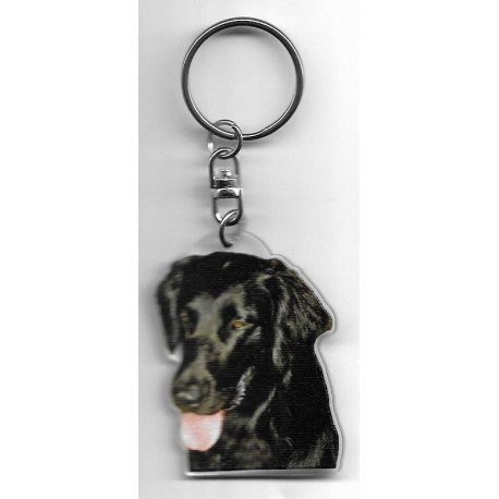 FLAT COATED RETRIEVER CHIEN porte clés