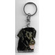 FLAT COATED RETRIEVER CHIEN porte clés