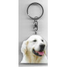 GOLDEN RETRIEVER DOG / Key Fobs