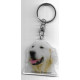 GOLDEN RETRIEVER DOG / Key Fobs