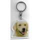 GOLDEN RETRIEVER DOG / Key Fobs