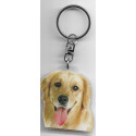 GOLDEN RETRIEVER DOG / Key Fobs