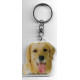 GOLDEN RETRIEVER DOG / Key Fobs