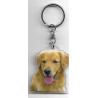 GOLDEN RETRIEVER DOG / Key Fobs