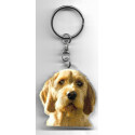 BRITTANY  GRIFFON KORTHAL DOG / Key Fobs