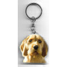 BRITTANY  GRIFFON KORTHAL DOG / Key Fobs