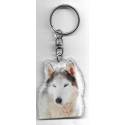 HUSKY DOG / Key Fobs