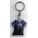 LABRADOR  DOG / Key Fobs