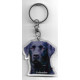 LABRADOR  DOG / Key Fobs