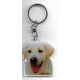 LABRADOR  DOG / Key Fobs